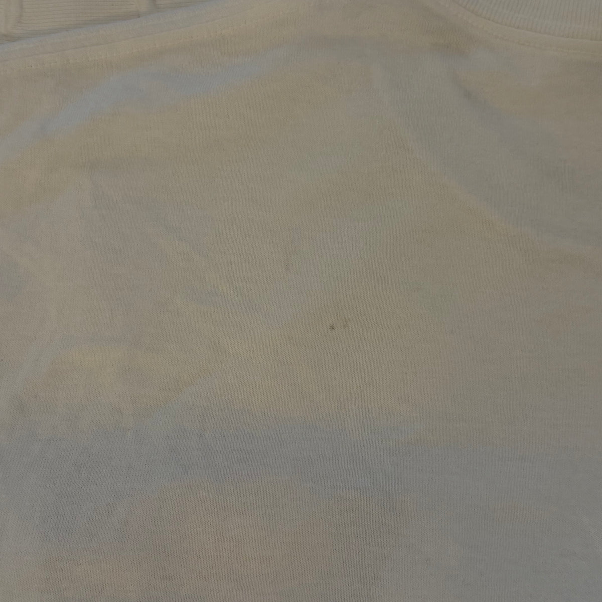 Fiona reg tee - L