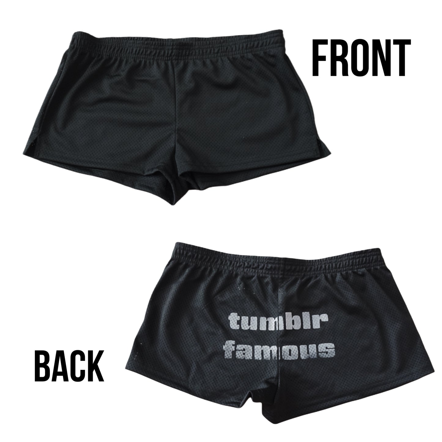 Tumblr famous mesh micro shorts