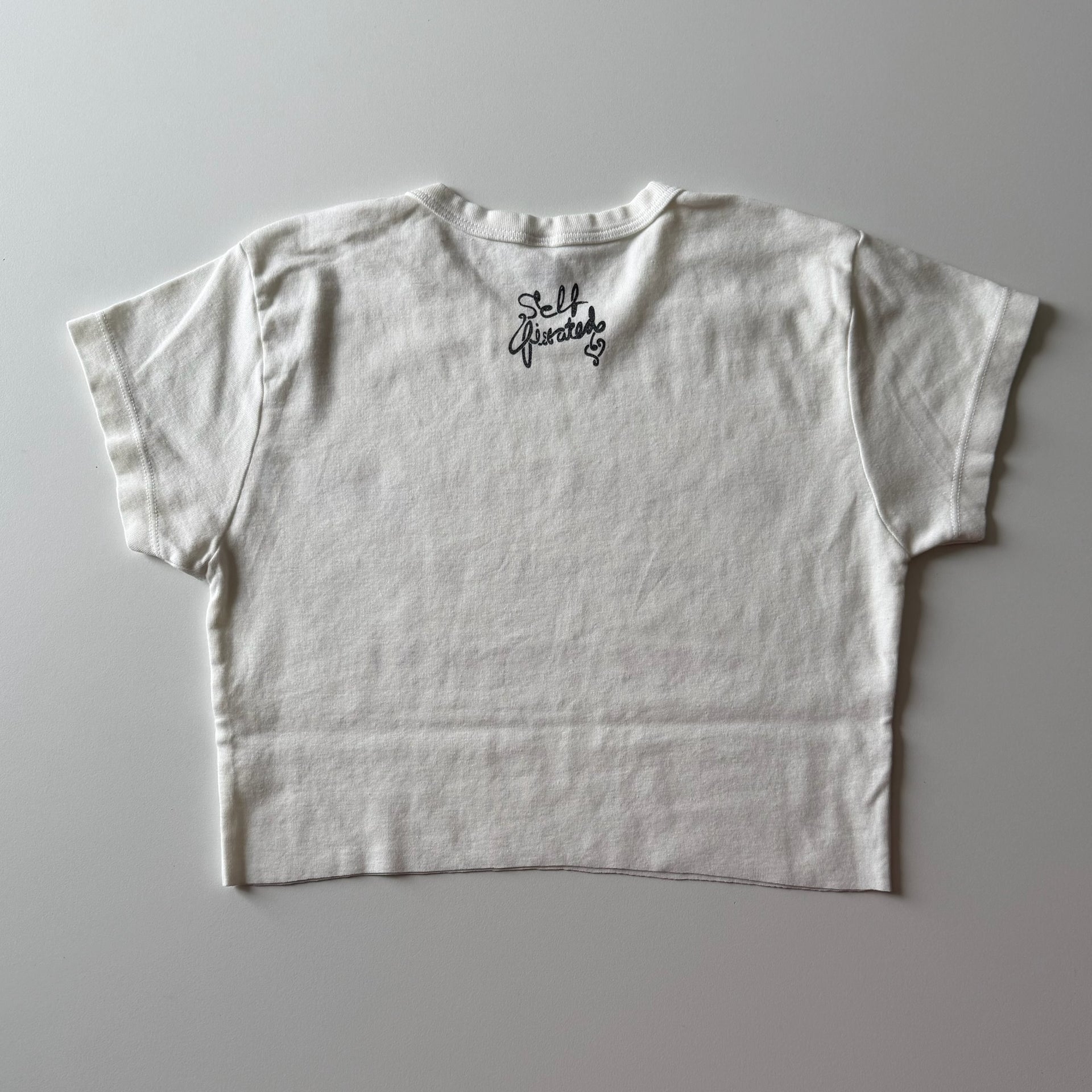 Why can't we? cropped baby tee - M