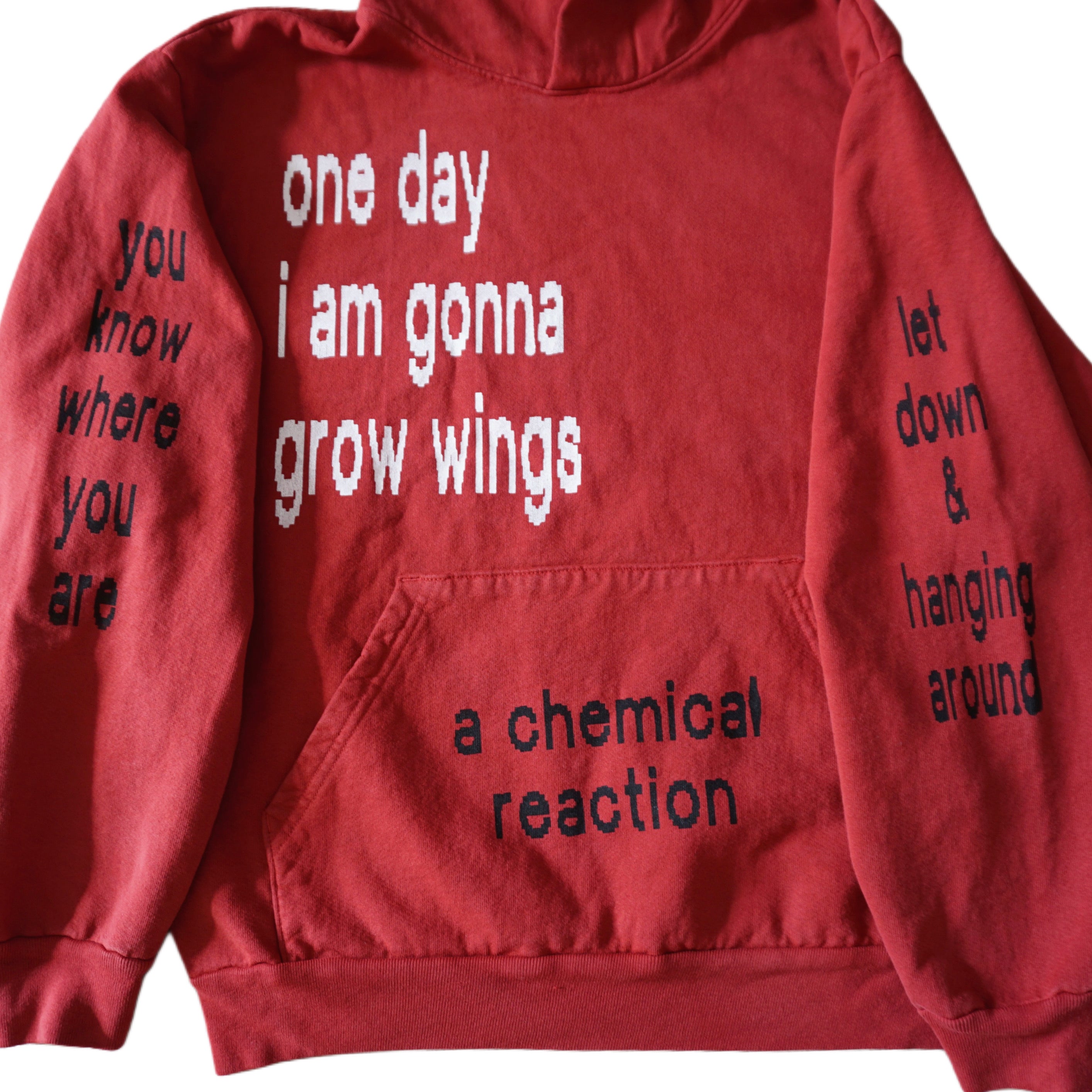 Let down hoodie • SELF FIXATED