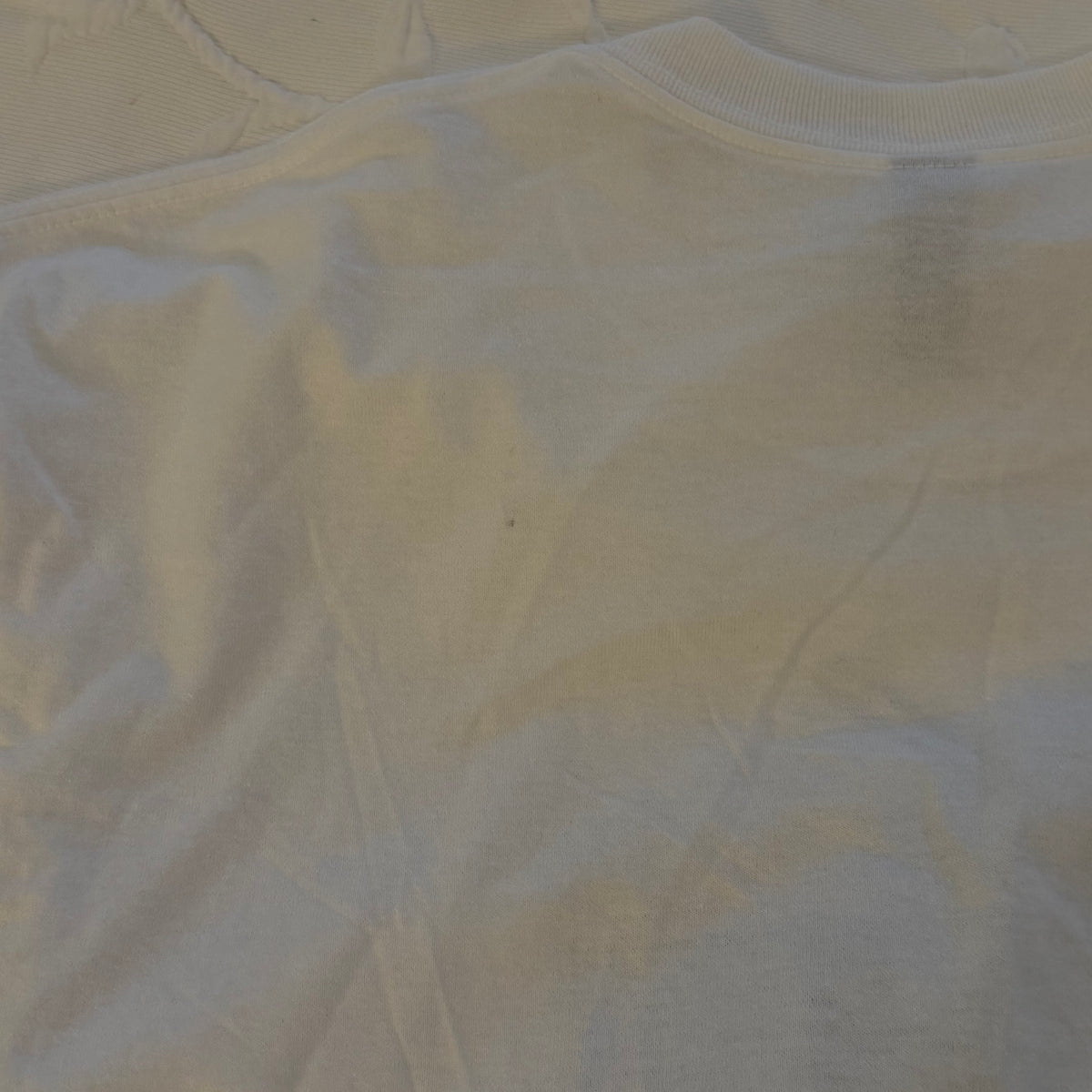 Death of a ladies man tee - L