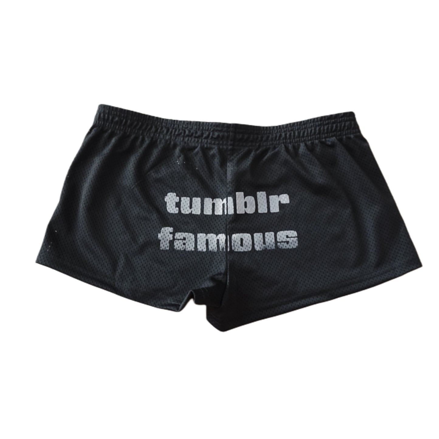 Tumblr famous mesh micro shorts