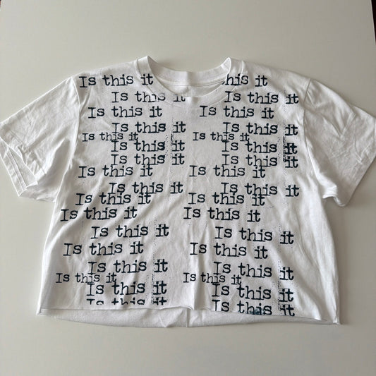 Is this it crop top - 2X